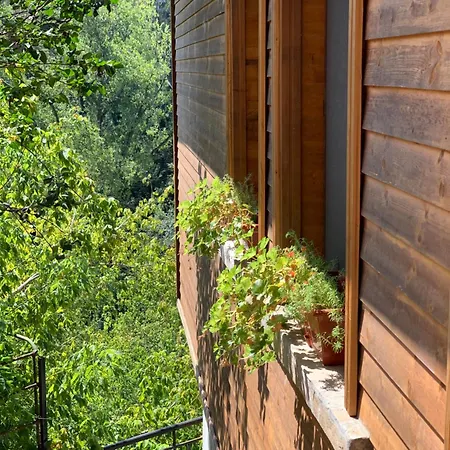 Spring-пролет Apartment, Old Town, فيليكو ترنوفو